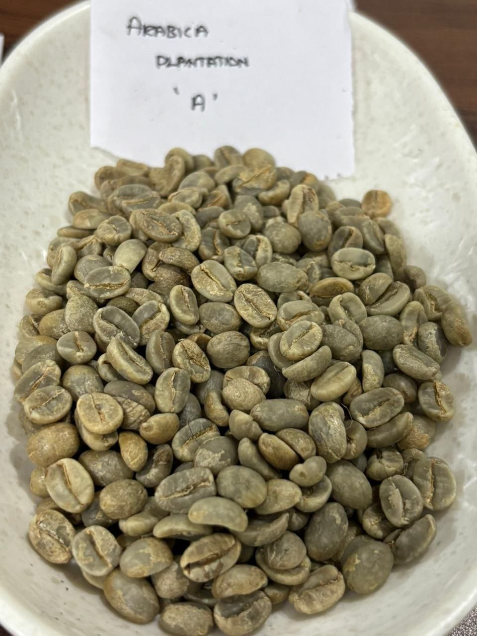 Arabica Plantation A