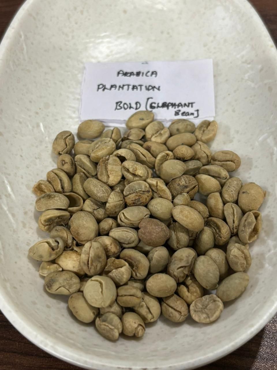 Arabica Plantation Bold